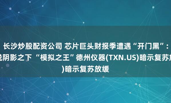 长沙炒股配资公司 芯片巨头财报季遭遇“开门黑”：关税阴影之下 “模拟之王”德州仪器(TXN.US)暗示复苏放缓